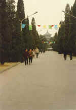 China006.JPG (25396 Byte)