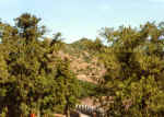China129.JPG (58842 Byte)