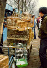 China142.JPG (60090 Byte)