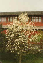 China158.JPG (55151 Byte)