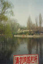 China269.JPG (35670 Byte)