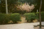 China273.JPG (40311 Byte)