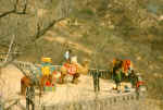 China295.JPG (180461 Byte)