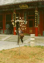 China308.JPG (45496 Byte)