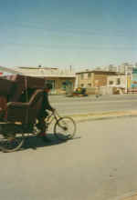 China411.JPG (23859 Byte)