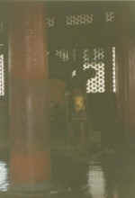 China471.JPG (19787 Byte)