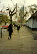 China484.jpg (44098 Byte)