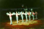China509.jpg (27060 Byte)