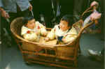 China547.jpg (33067 Byte)