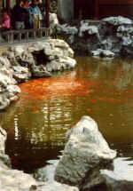 China577.jpg (52358 Byte)