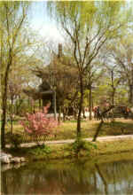 China661.jpg (63137 Byte)