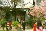 China662.jpg (56897 Byte)