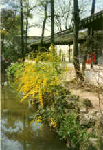 China676.jpg (69789 Byte)