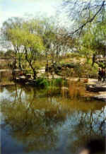 China679.jpg (60843 Byte)