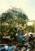 China681.jpg (58022 Byte)