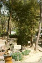 China693.jpg (60478 Byte)