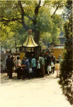 China701.jpg (54841 Byte)