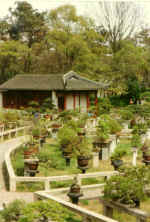 China707.jpg (59550 Byte)
