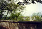 China713.jpg (55320 Byte)