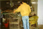 China827.jpg (38122 Byte)