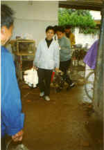 China829.jpg (35670 Byte)