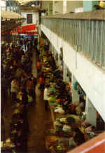 China835.jpg (44816 Byte)