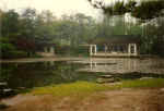 China859.jpg (37657 Byte)