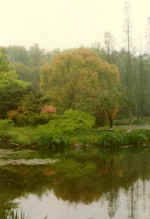 China861.jpg (30722 Byte)