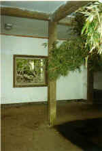 China864.jpg (35240 Byte)