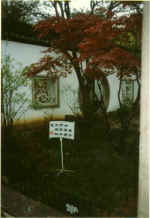 China865.jpg (39754 Byte)