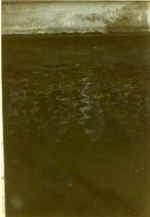 China867.jpg (20879 Byte)