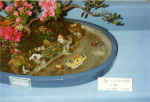 China870.jpg (36964 Byte)