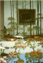 China879.jpg (47874 Byte)