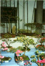 China881.jpg (51029 Byte)