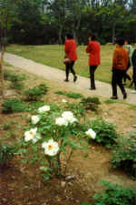 China916.jpg (58713 Byte)