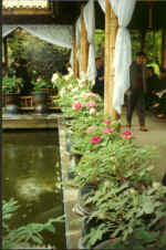 China918.jpg (52422 Byte)