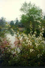 China919.jpg (55758 Byte)
