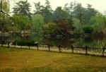 China922.jpg (40392 Byte)