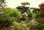 China923.jpg (47205 Byte)