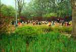 China932.jpg (51127 Byte)