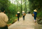 China933.jpg (39124 Byte)