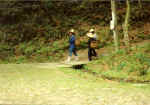 China934.jpg (53445 Byte)
