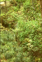 China936.jpg (73021 Byte)
