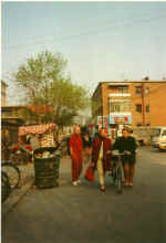 China961.jpg (36022 Byte)