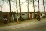 China984.jpg (27897 Byte)